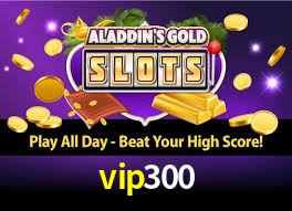 vip300 login