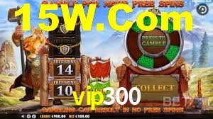 vip300,vip300.com