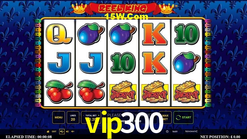 Sports Statistics vip300