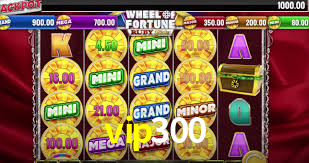 vip300,vip300.com